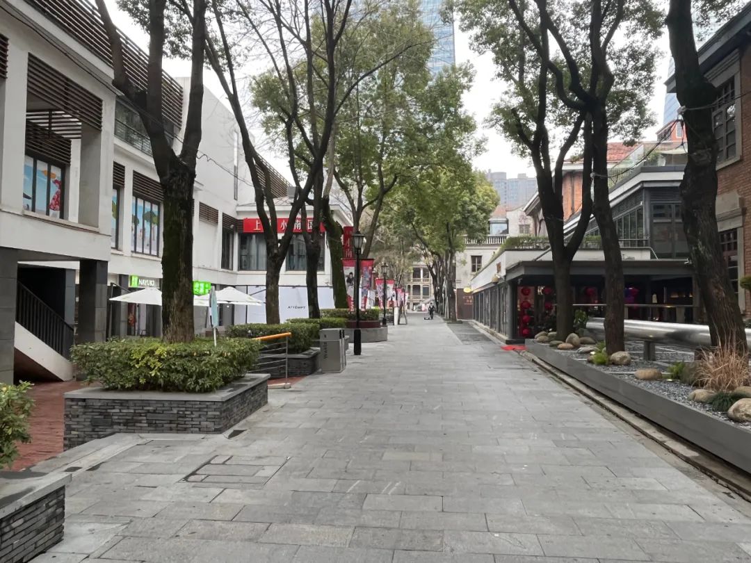 数百亿重仓武汉！不赚快钱的瑞安，赚到了什么？