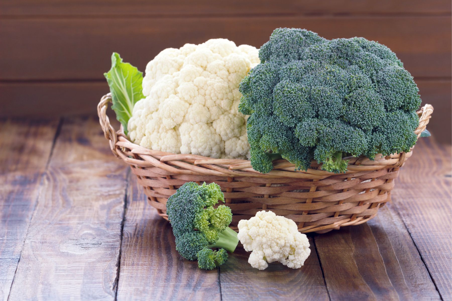 自己培育西兰花种子打破国外垄断,西兰花种子垄断