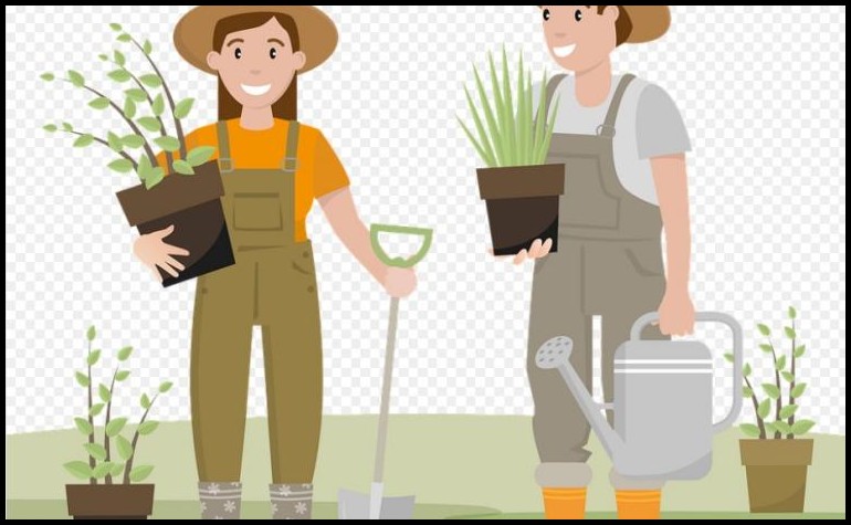 图片太大怎么压缩变小ps,图片太大怎么压缩变小200k