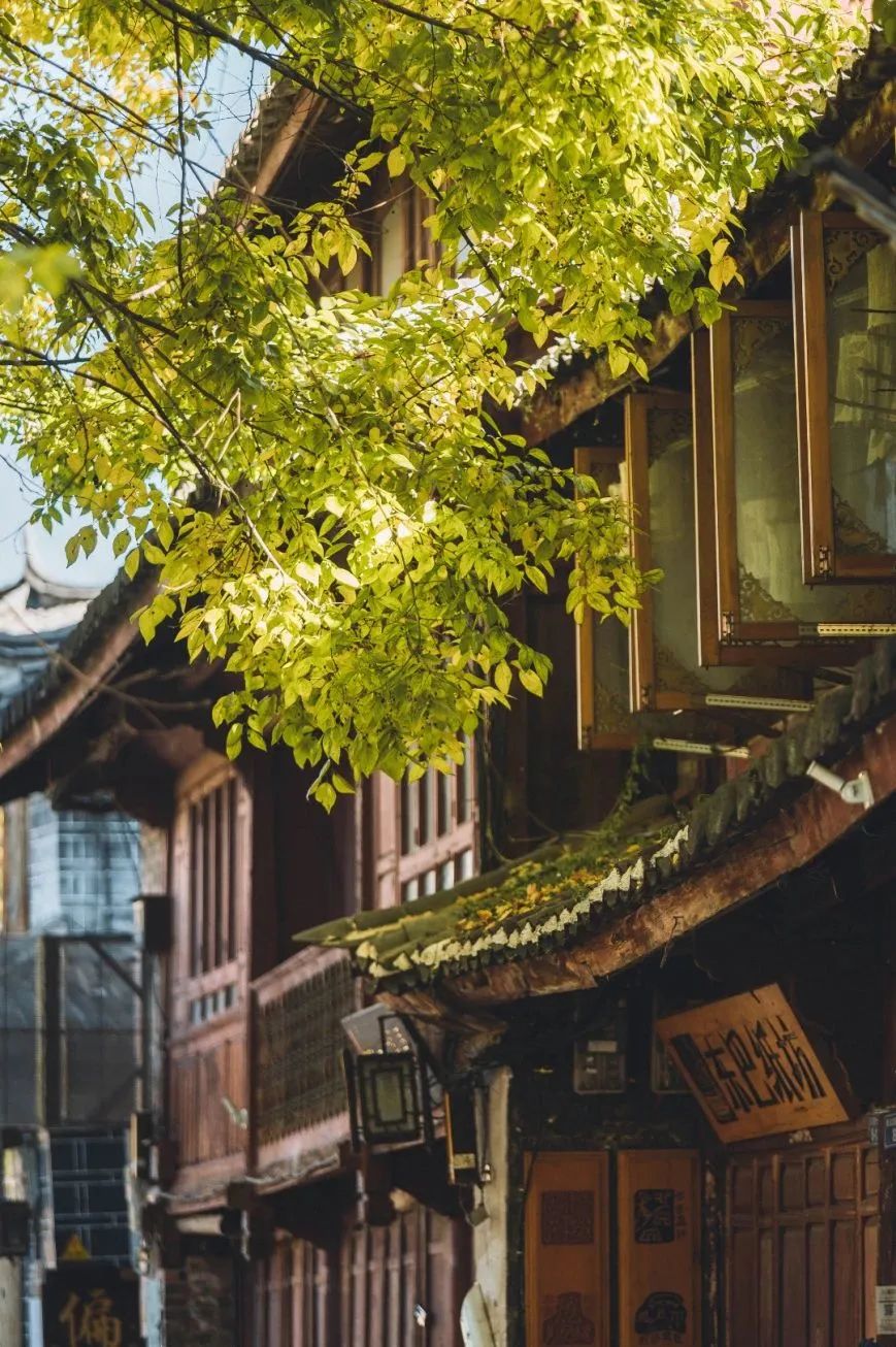 丽江古城现在冷不冷,丽江古城冬无严寒