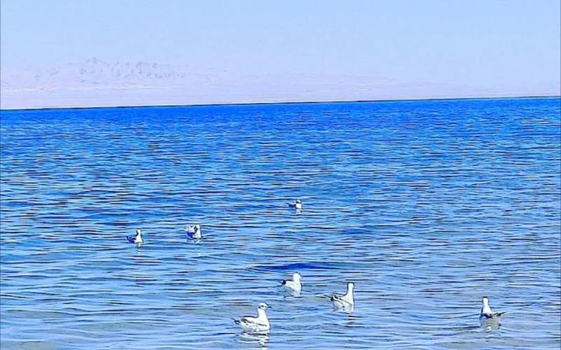 青海戈壁滩无人小镇,青海夏季戈壁滩图片