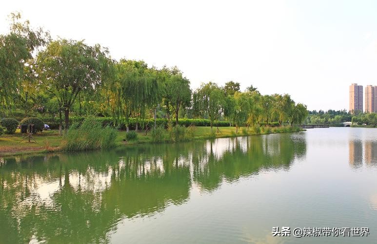 盐城最大的海边城市,盐城海岸线为何一直延伸