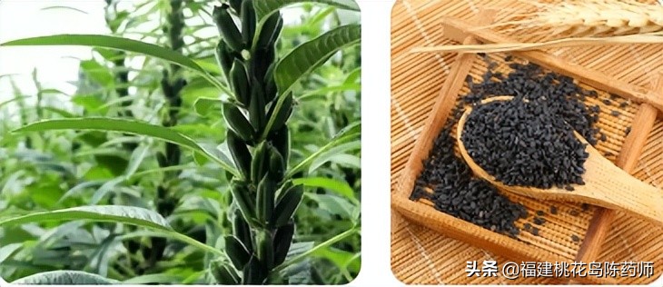 20味中药的功效与作用,中药大补阴丸的功效及作用