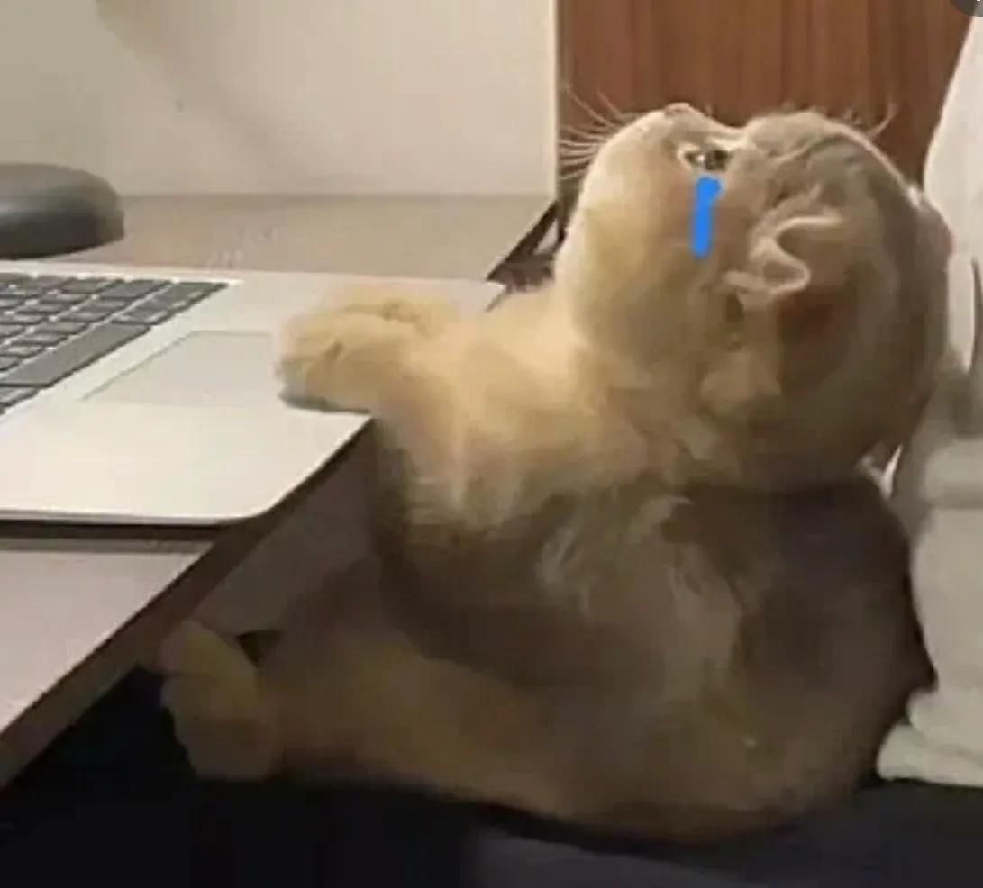 警察过肩摔制服毒贩,民警过肩摔毒贩