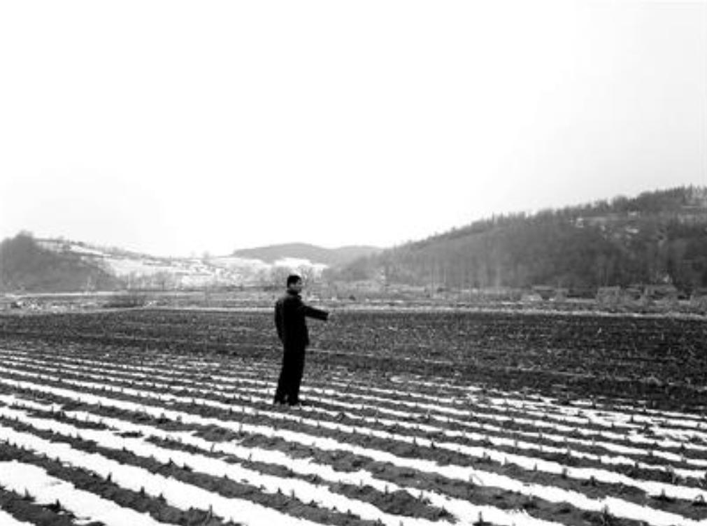 他蹲监26年获赔460万，花百万娶小22岁娇妻后，又闪离：她太图钱