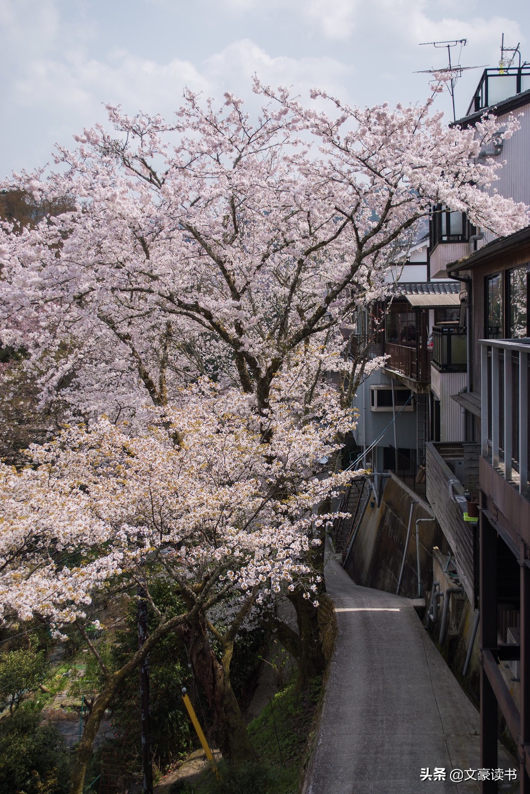 为什么整天想赚钱的人却赚不到钱,当一个人想赚钱的时候赚不到钱