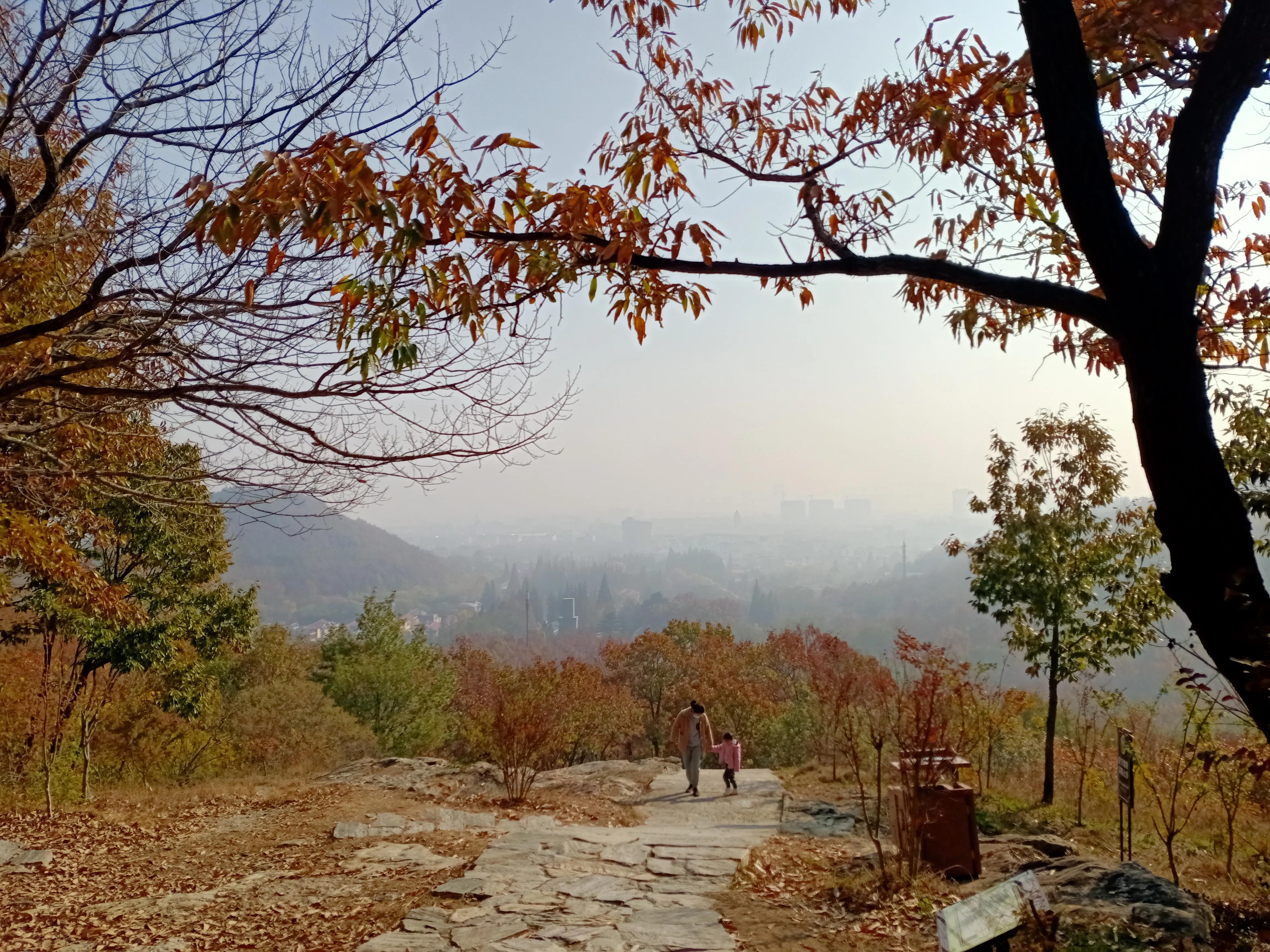 局长夫人私约小说免费阅读,局长夫人的二次约会10