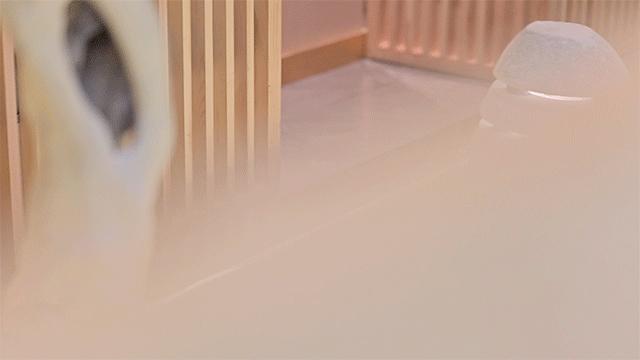 北京路性价比高的早茶店,北京路性价比好店