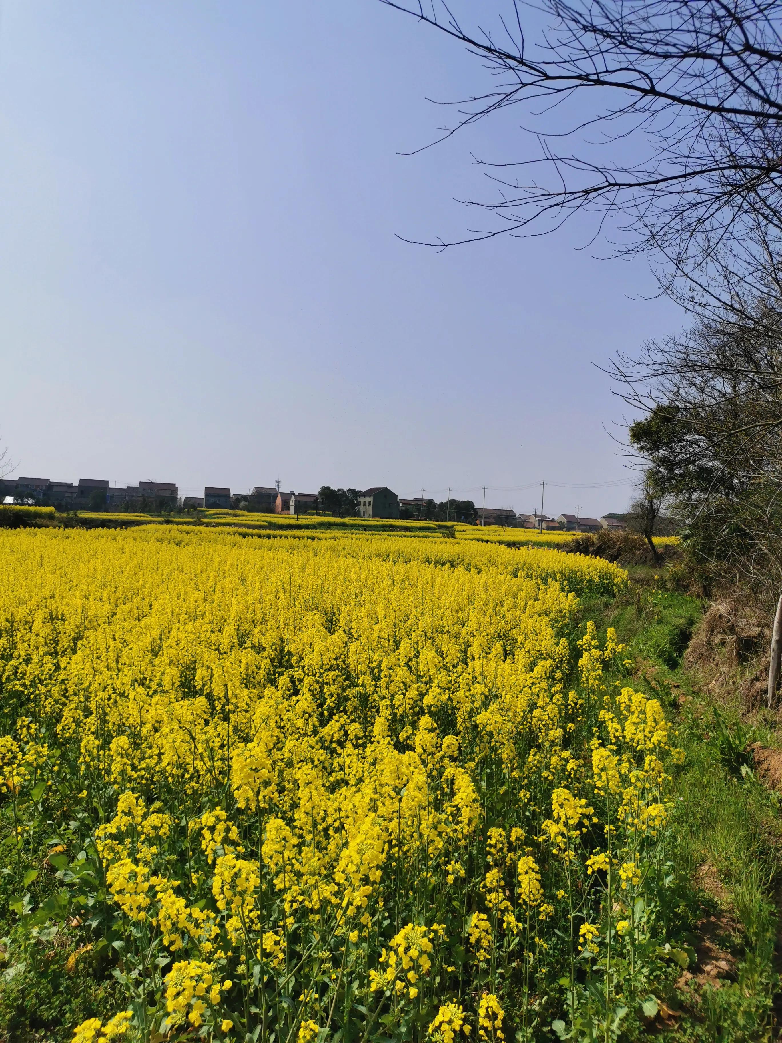 这里是人间仙境歌词,这里是人间仙境