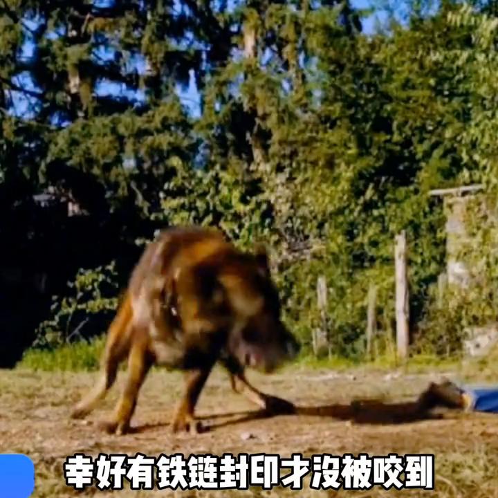 女孩捡到徽章进入另外一个世界,女孩利用一枚徽章穿越到未来