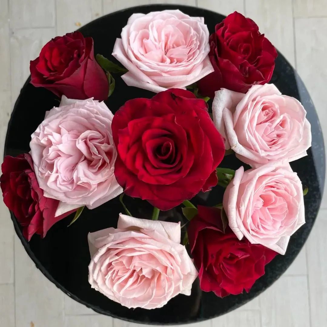 鲜花在水里能养几天会死,新加坡盆栽花卉怎么养