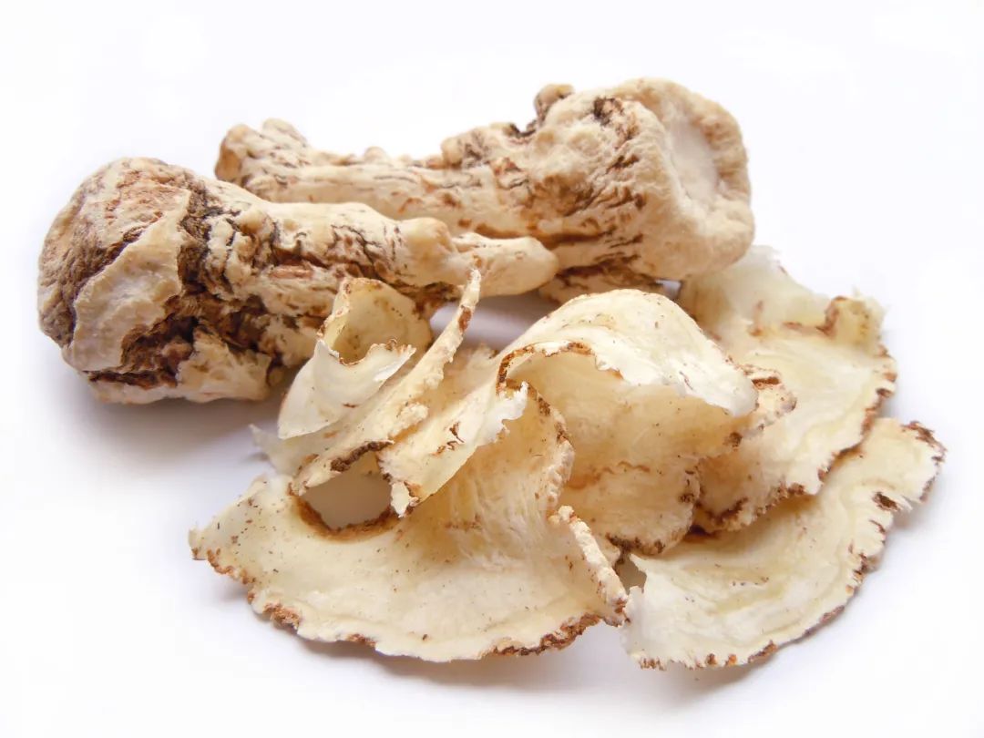 气血不足可按足三里治疗吗,气血足不足看精气神