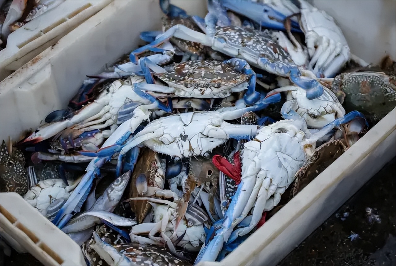 这50张图,就是你开海后要来一趟防城港的理由