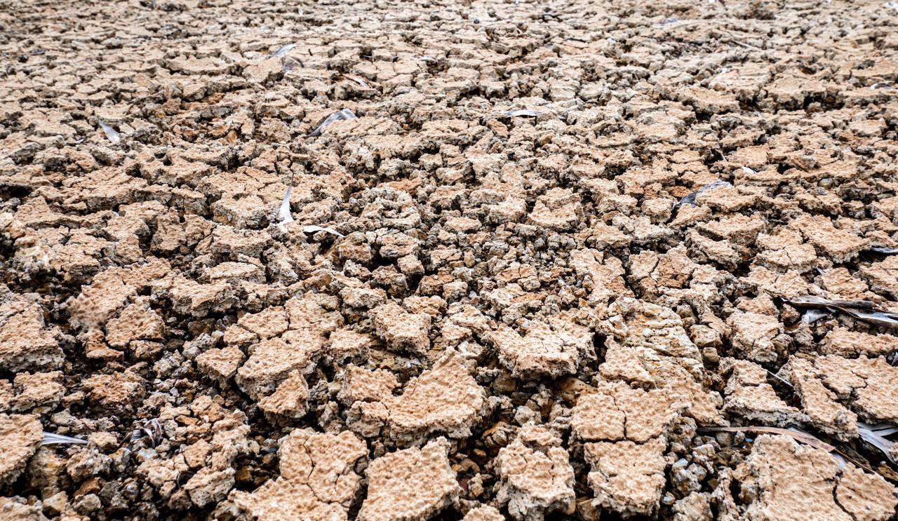 奇迹发生了,奇迹发生前兆