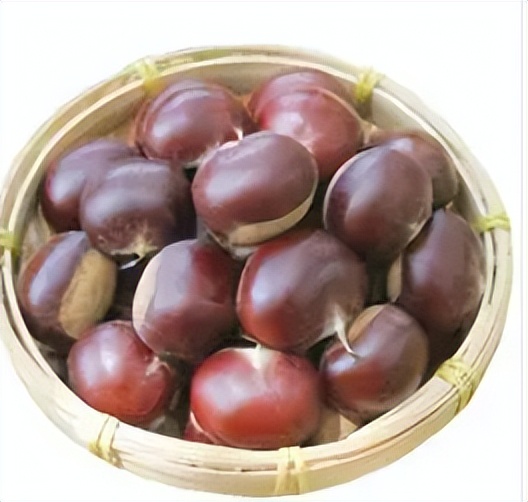 板栗发芽了还能吃吗视频,板栗放几天还能吃吗