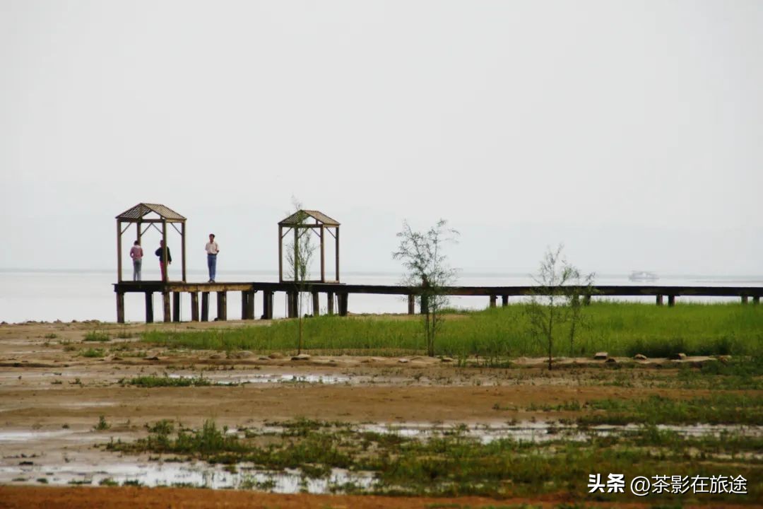 閫涢鍑鸿嚜鍝噷,閫涢