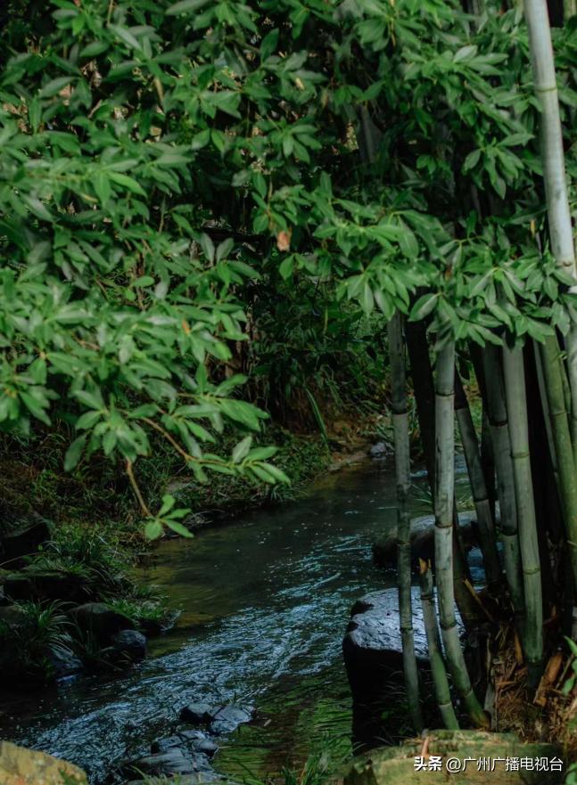 广州夏日避暑指南,广州夏日避暑胜地室内