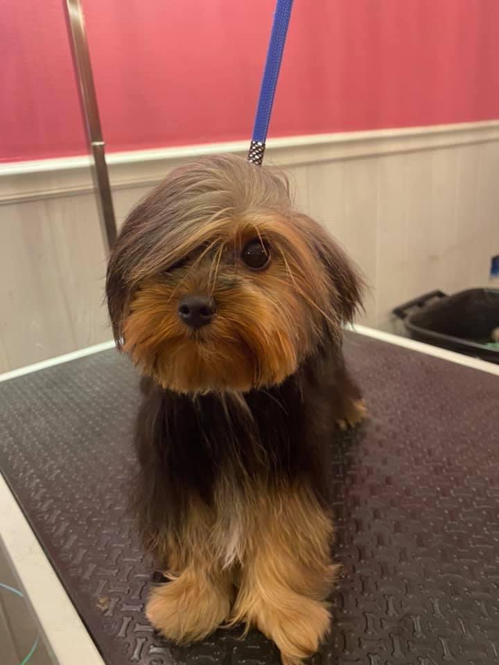 缇庡浗灏忓摜鐐硅瘎瑙嗛,缇庡浗灏忓摜鐐硅瘎