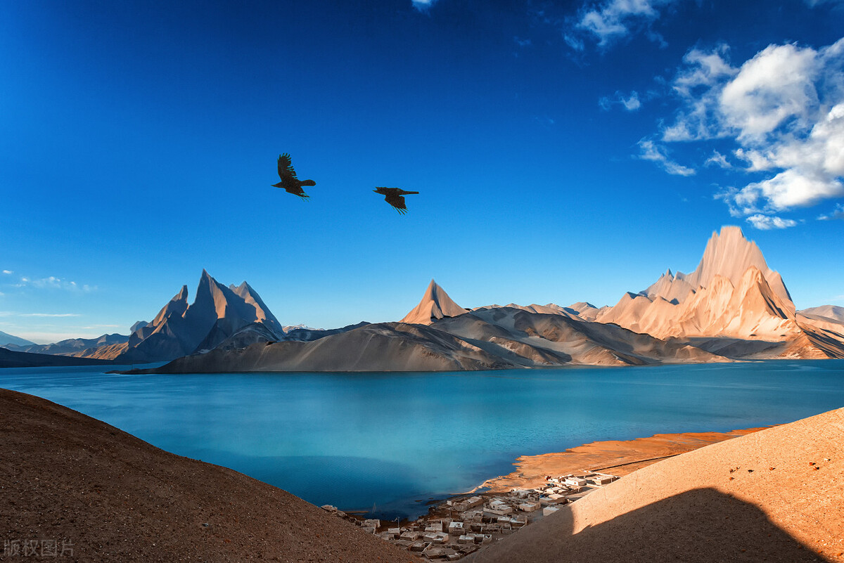 摄影新手入门选哪几款镜头,初学摄影镜头挑选