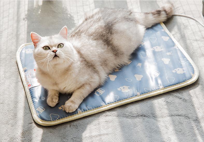 买大床好还是小床好,年轻人买床选软床还是硬床好