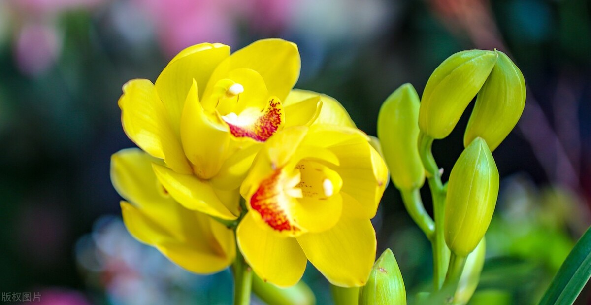 清都的原创诗词，4年作品合集，用文字记录生活