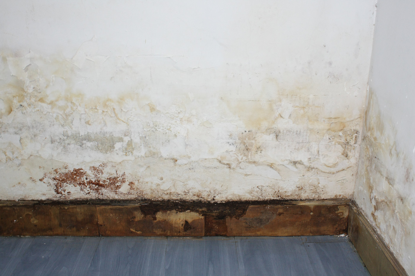 家里发霉怎么办？6个除霉实用小技巧，轻松解决霉味问题