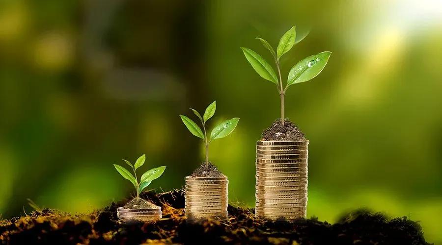 读懂财报最好的书,教你读懂财报