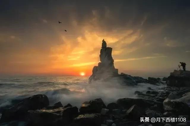 辽沈大地，沃野千里。最新一届中央委员和候补委员中有多少辽宁人