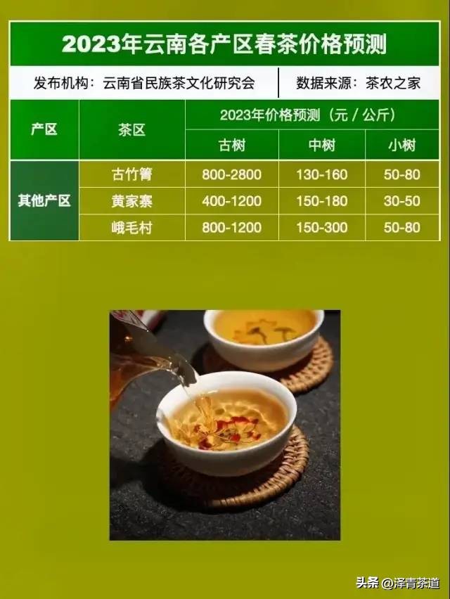 云南34个名山头普洱茶特点及2023云南普洱茶各名产区春茶价格预测