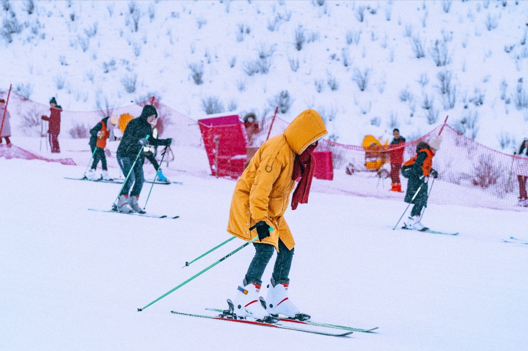 宸濊タ娴极鐨勫ぉ鑺辨澘,鏃嬭浆鏈ㄩ┈宸濊タ缇庢櫙