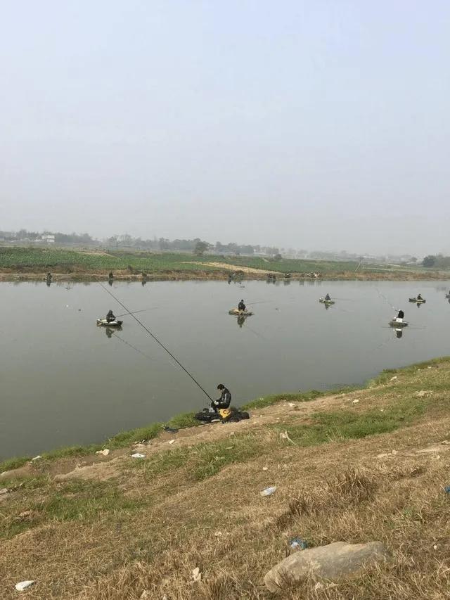 冬季钓鲫鱼注意两点不会空军,春季野钓鲫鱼不空军怎么样