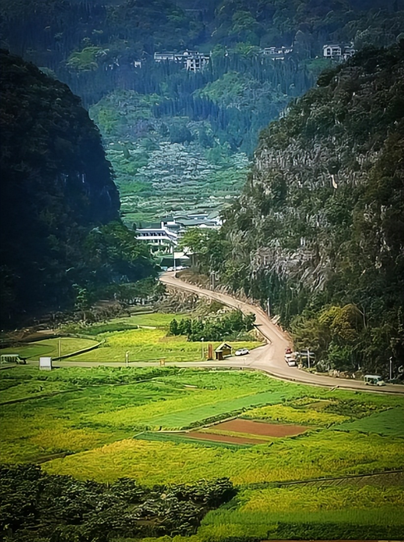 诗路花雨封底,诗路花语繁体怎么写