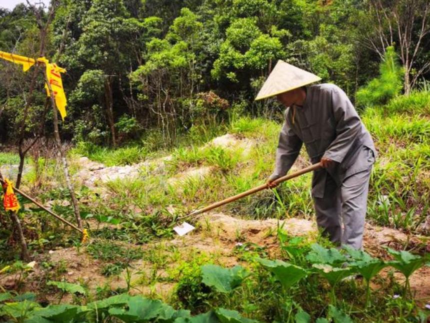 唐朝与佛教传播有关的事实,唐朝佛教的发展的影响