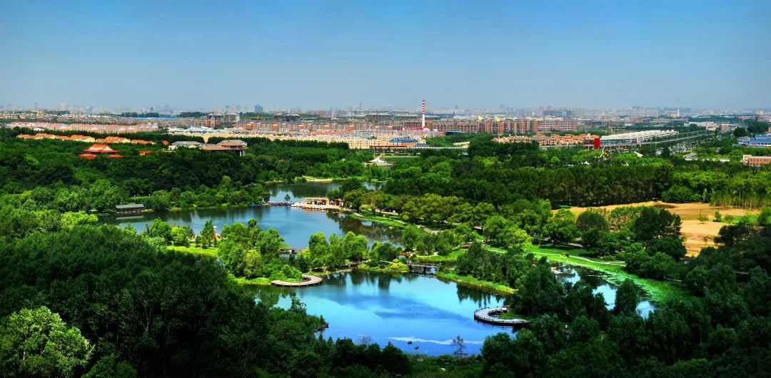 坐上火车领略东北田园,坐上高铁奔向远方