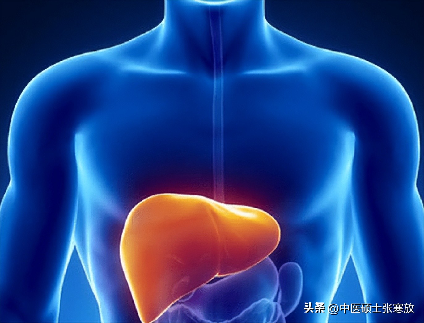 睾丸潮湿湿热用什么中药,睾丸潮湿下焦湿热怎么治疗