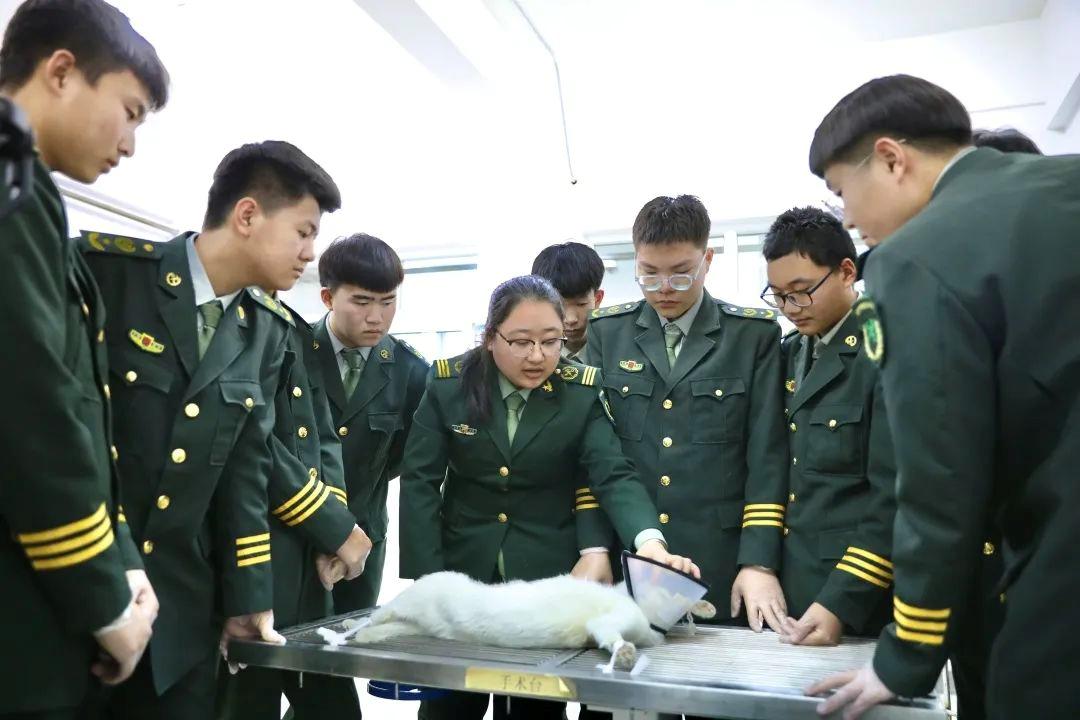 大连中港学校靠谱吗,大连中港教育学校介绍