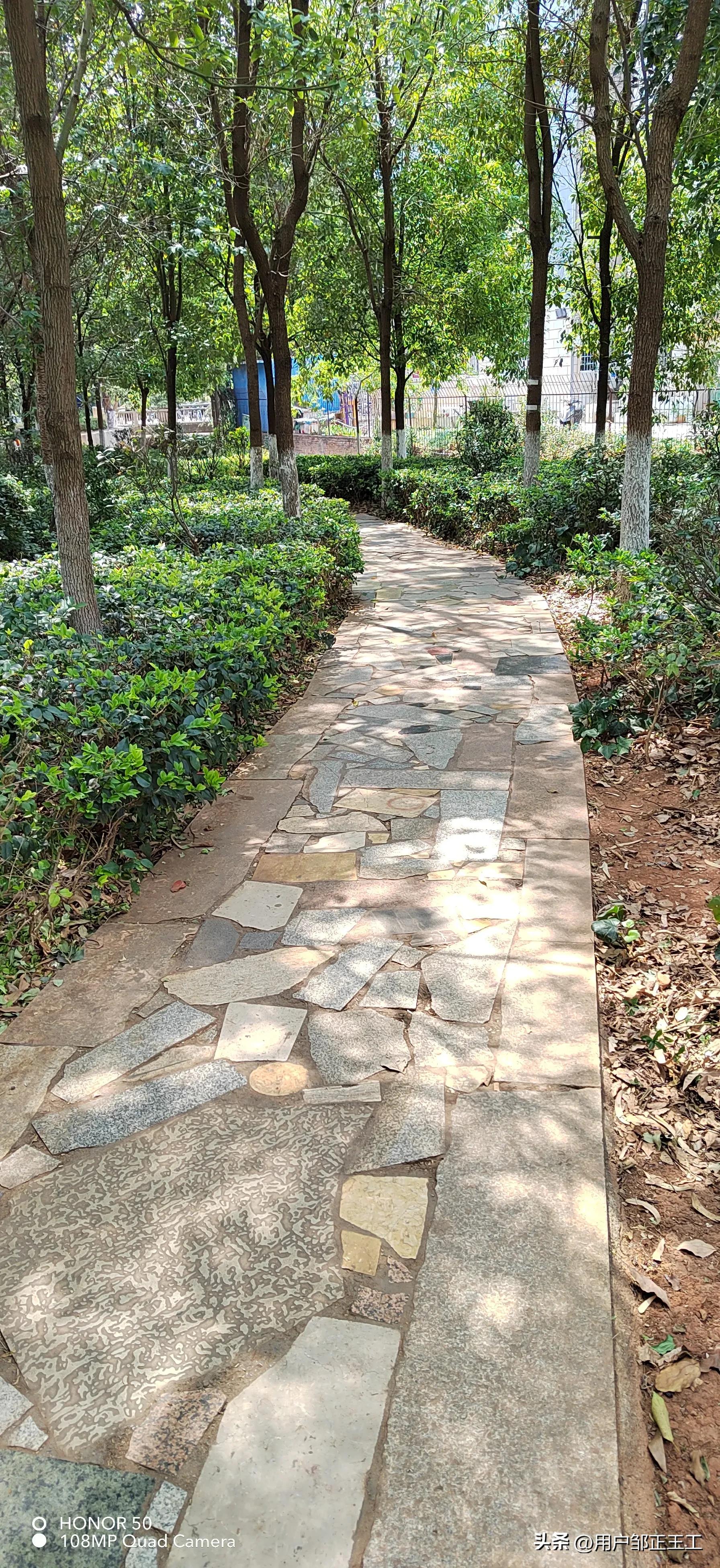 金汁河加盟品牌,金汁河