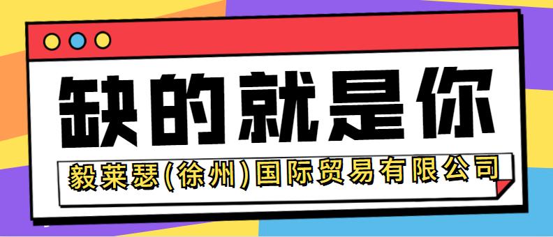 毅莱瑟国际贸易有限公司,毅莱瑟国际贸易有限公司徐州