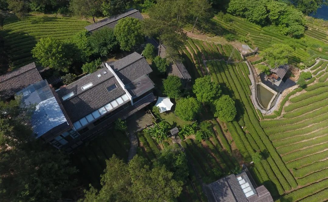 武夷山隐藏在大山里的世外桃源,武夷山景区和茶区