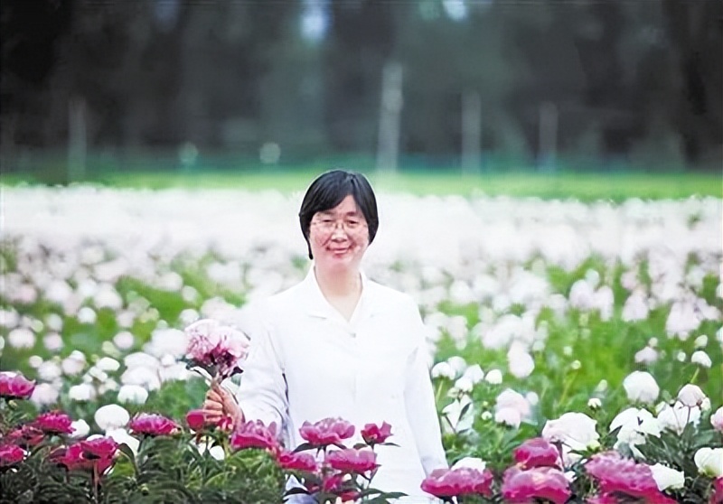 科研助理硕士就业前景,科研助理未来规划