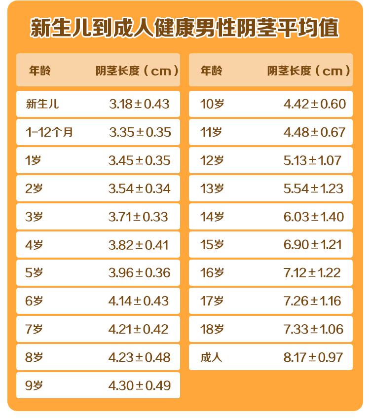 男孩JJ多大才算达标?“丁丁”尺寸国际标准来了!男宝家长请注意