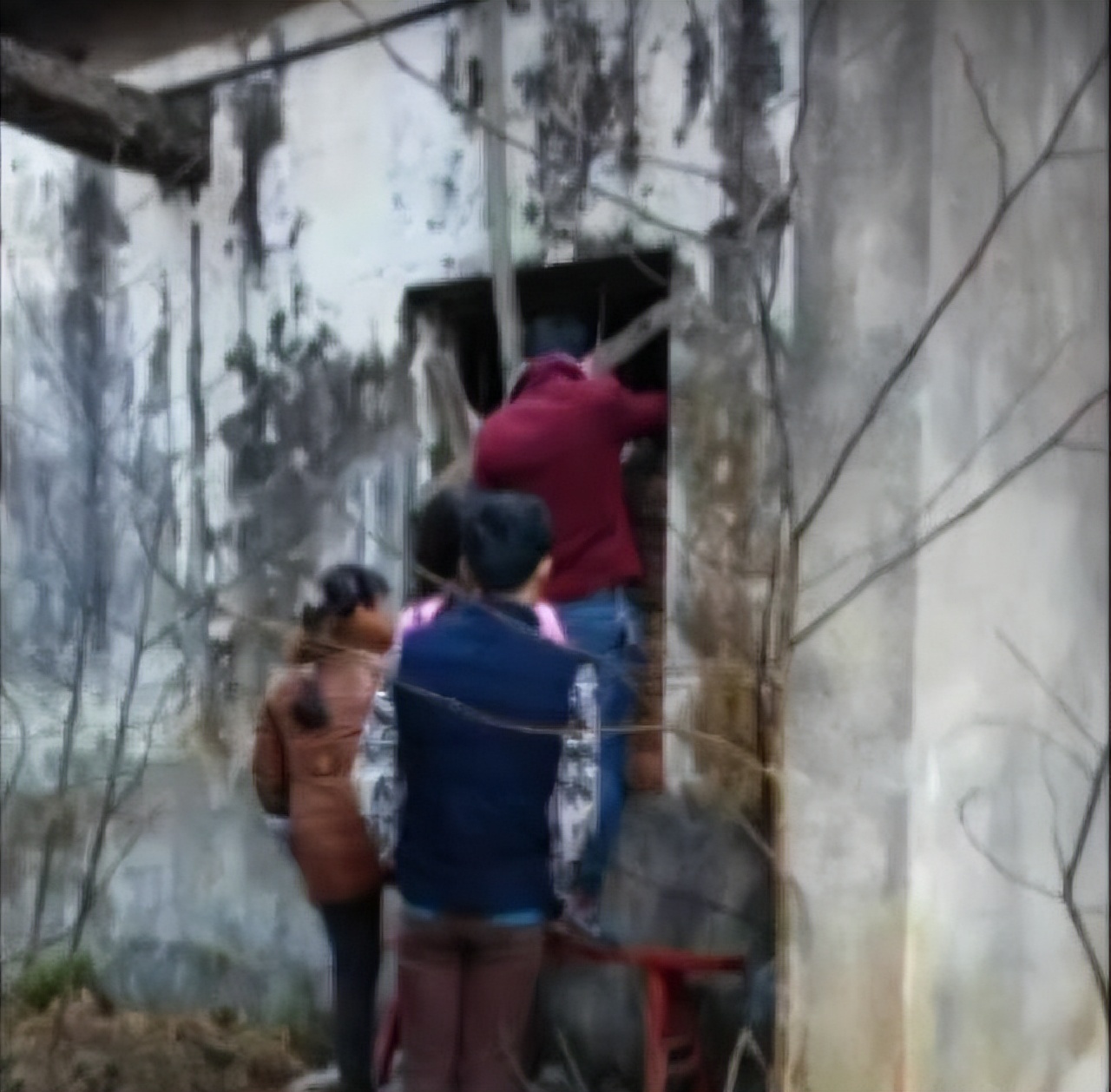 2015年湖北24岁校花被裸身囚禁，与蛇同住场面“污秽”，让人唏嘘