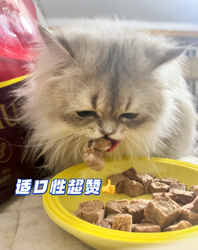猫21测评:Hunter猎然系列冻干牛肉挑食猫咪愿意吃吗?