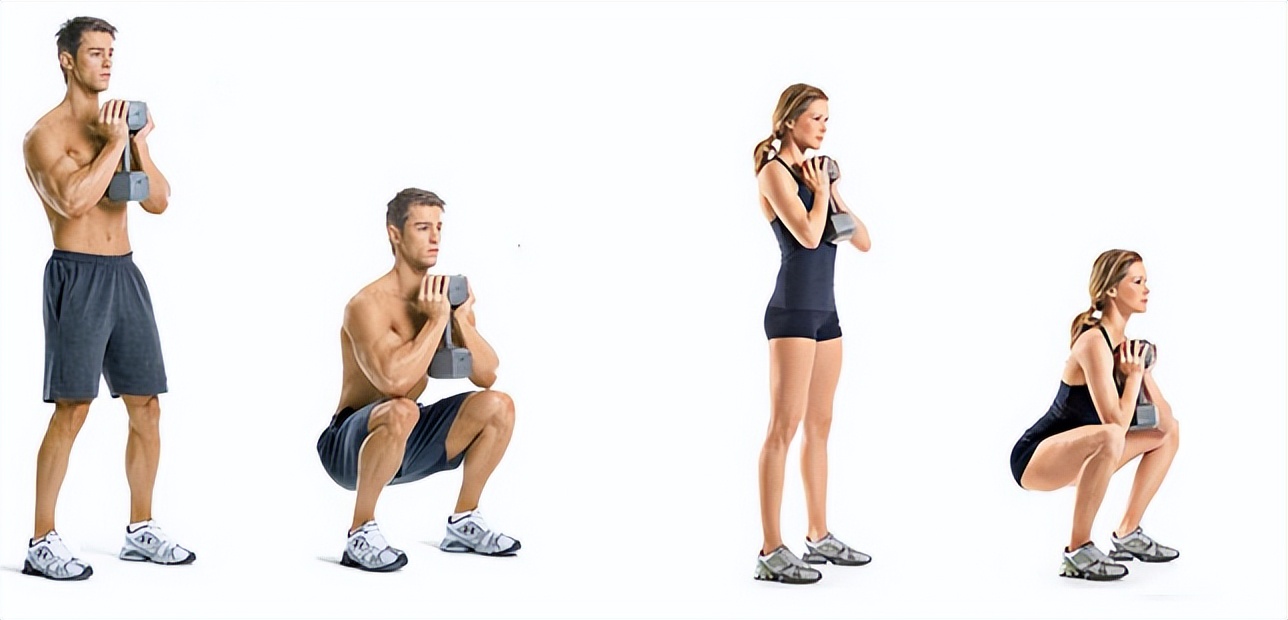 新手健身房怎么练减脂增肌,初级健身房锻炼方法增肌