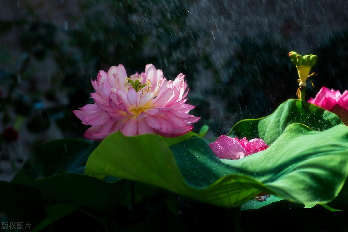 伤害一个人还会伤害另一个人,伤害一个人总是很简单