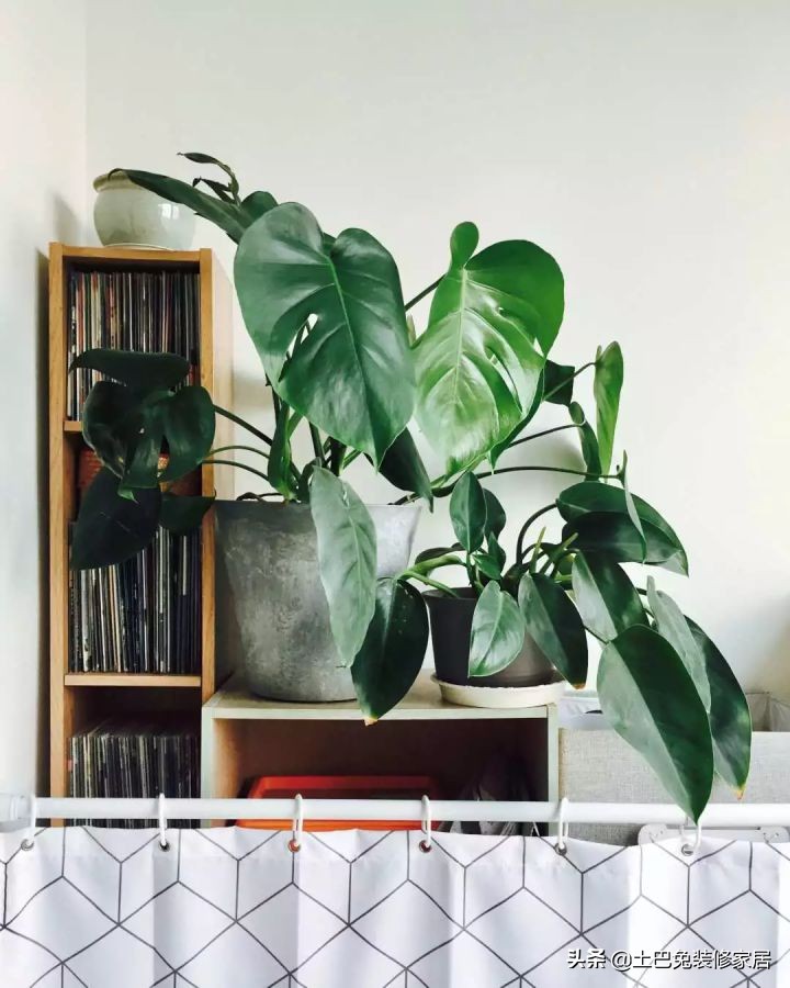 适合小夫妻住的两室一厅,90后小夫妻住30平米的房间吃什么