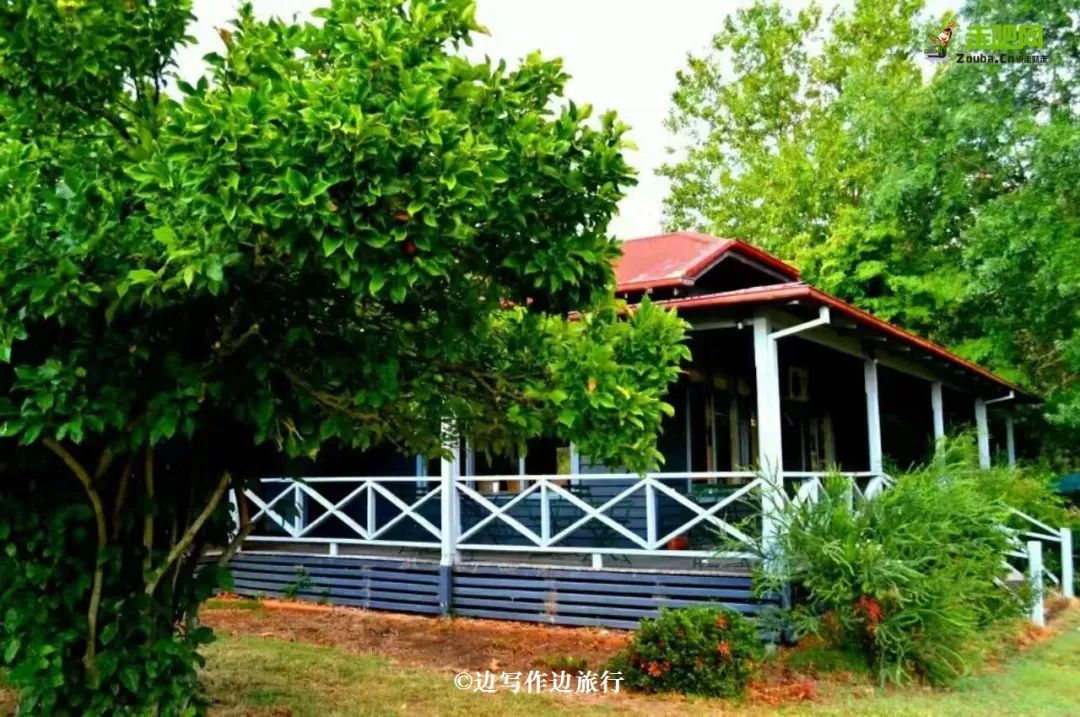 24岁女孩旅行50个国家,去外国边打工边旅行