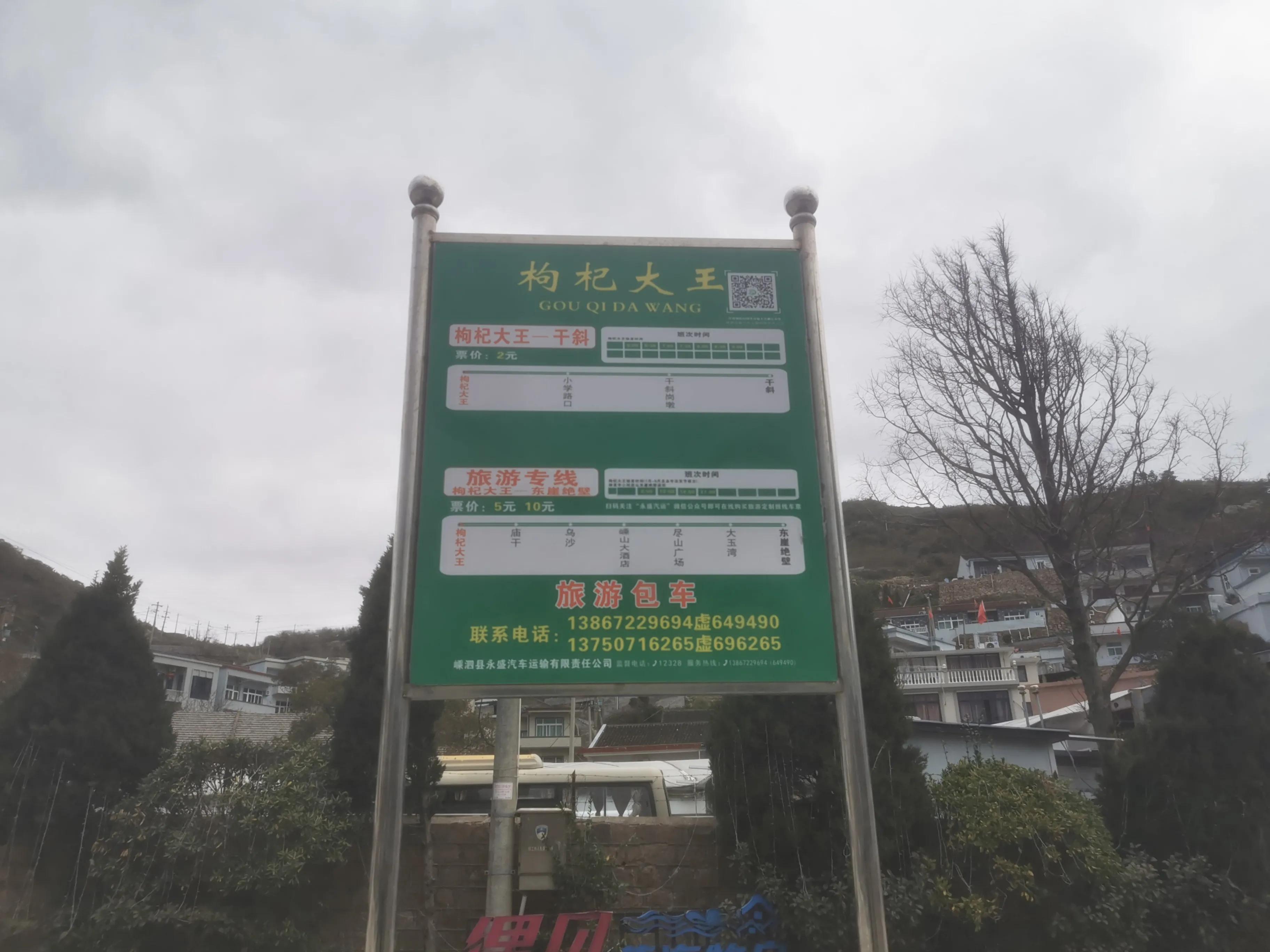 枸杞岛亲子游攻略 (枸杞岛自驾游攻略)