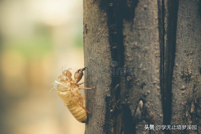 善待他人就是善待自己这句话真好,在变老的路上善待他人并善待自己