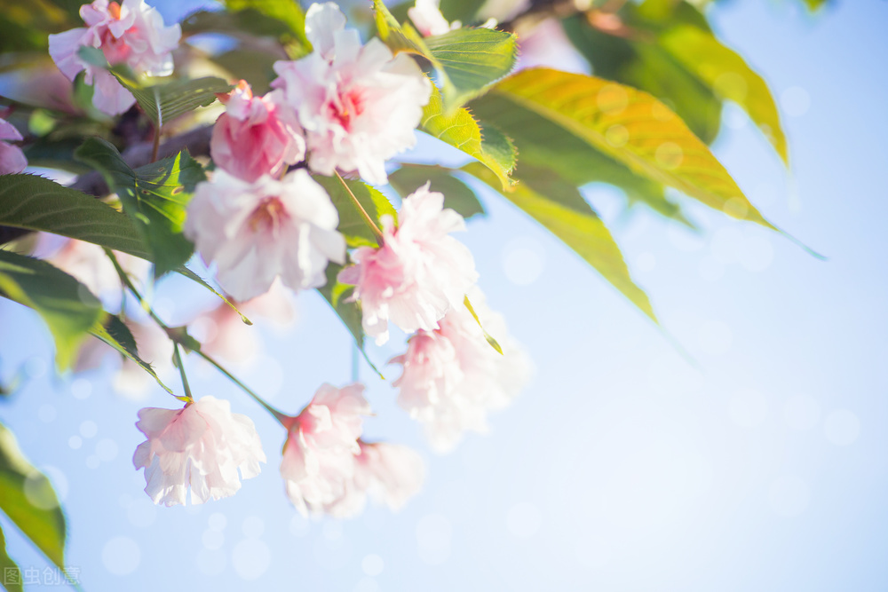 缓解焦虑的方式便是好好热爱生活,减少焦虑的最好的办法英语